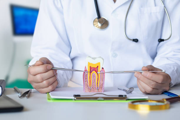 Best Emergency Dental Care for Abscessed Tooth in York Harbor, ME